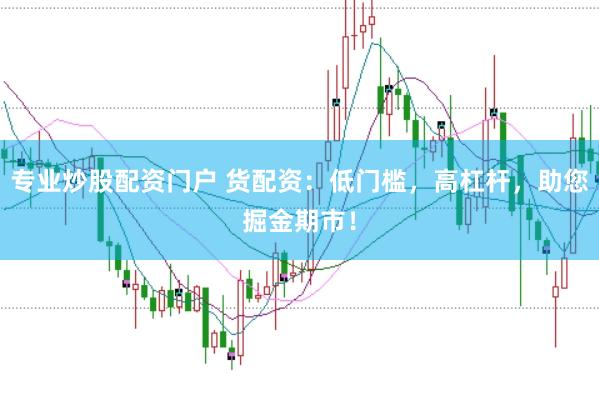 专业炒股配资门户 货配资：低门槛，高杠杆，助您掘金期市！