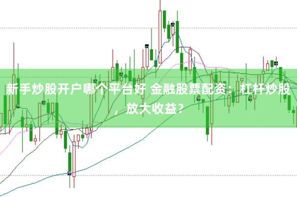 新手炒股开户哪个平台好 金融股票配资：杠杆炒股，放大收益？