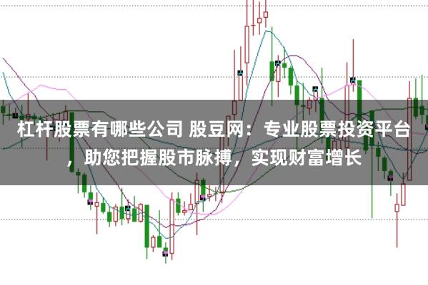杠杆股票有哪些公司 股豆网：专业股票投资平台，助您把握股市脉搏，实现财富增长