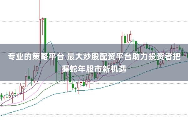 专业的策略平台 最大炒股配资平台助力投资者把握蛇年股市新机遇