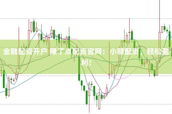 金融配资开户 赚了点配资官网：小额配资，轻松盈利！
