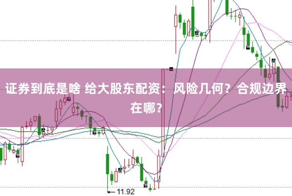 证券到底是啥 给大股东配资：风险几何？合规边界在哪？
